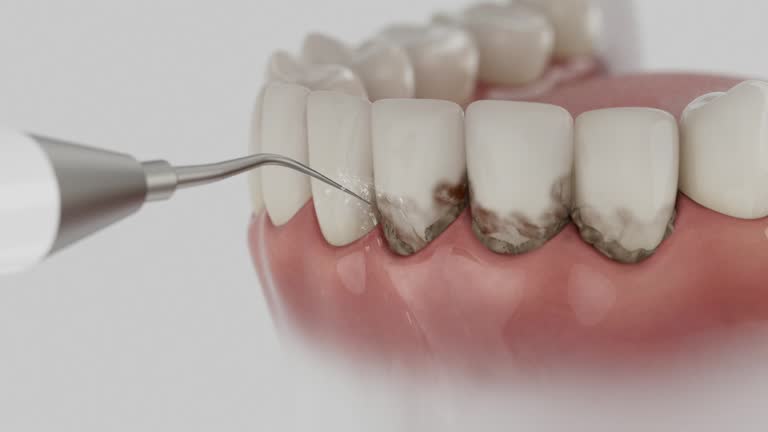 Reliable Dental contractor in Washington, NC by Dentist Open Now